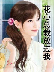 花心总裁倒追前妻