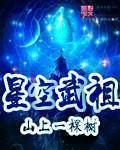 星空武尊:我的机甲时代小说免费