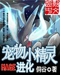 宝可梦mage进化条件