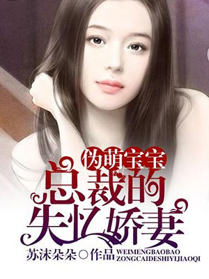 萌宝来袭总裁的失忆前妻免费阅读小说