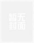 都市小农民杨铁铮全文免费