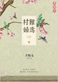 穿越之村里村外讲的什么