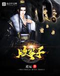 霍格沃茨之灰巫师无错版