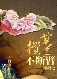 神雕侠侣之郭芙杨过