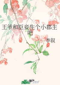 王爷和小王妃小说