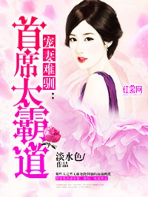 宠妻大婚难停