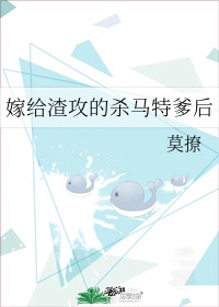 嫁给渣攻的杀马特爹后格格党