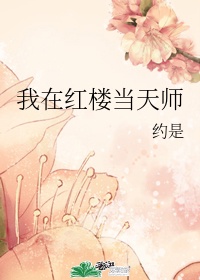 现代天师穿越红楼