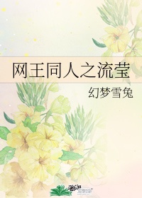 流星花园台湾版