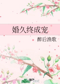 婚久终成宠醉后渔歌小说