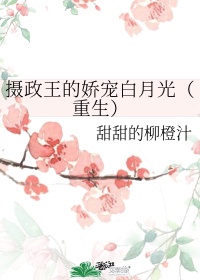 重生摄政王沈鸾