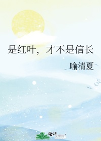 什么枫树四季都是红叶