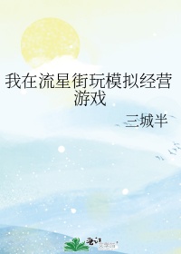 我在流星街玩模拟经营txt