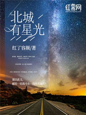 北城有星光结局是什么意思