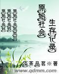 《原始社会生存记录》作者:淡茶品茗